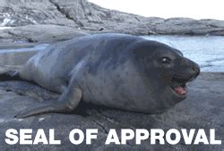 seal Archives - Reaction GIFs