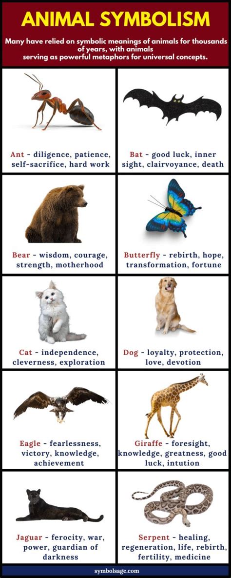 an animal poster with different types of animals