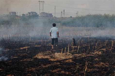 Climate Change Made Summer Hotter and Drier Worldwide, Study Finds ...