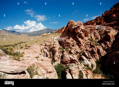 Red Rock Canyon National Park, Nevada Stock Photo - Alamy