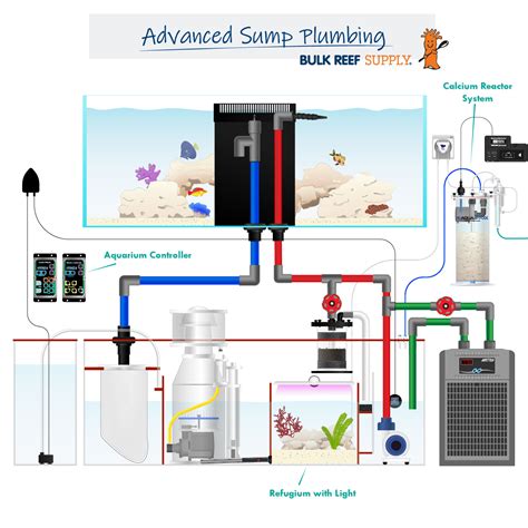 Saltwater Aquarium Filtration Setup