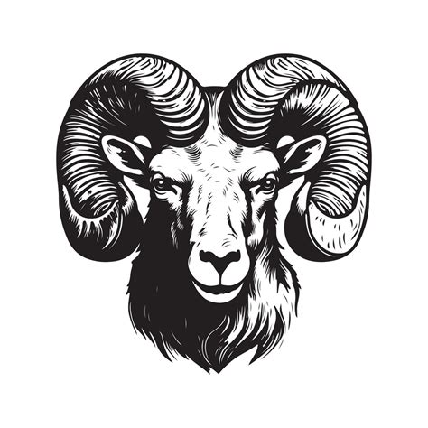 ram, vintage logo line art concept black and white color, hand drawn ...