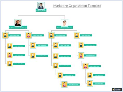 Marketing organization structure is made up of a group of marketers. They are brought together ...