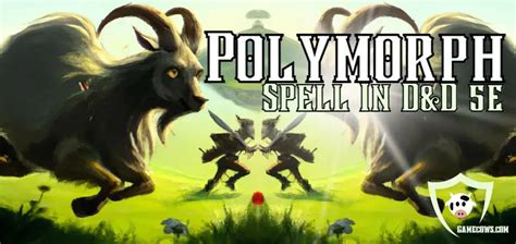 Polymorph 5e Spell Stats DnD (2024) Guia