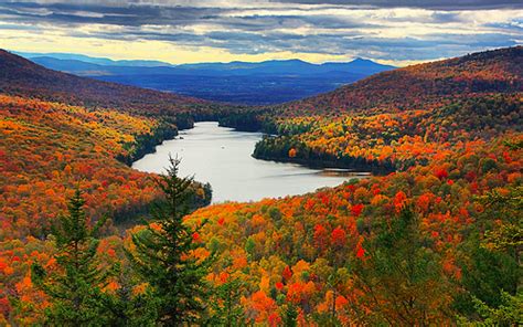 Fall Foliage Photo Tour in Northeast Kingdom (Vermont) – Local Captures