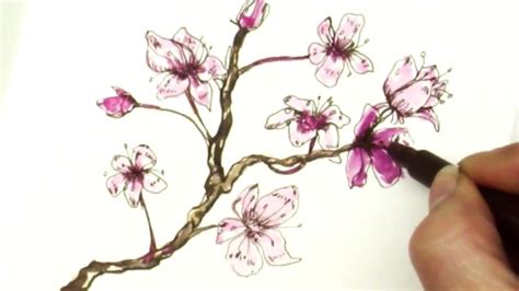 Cherry Blossom Tree Drawing Easy