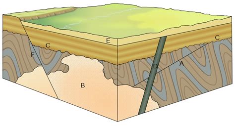 Sediments, Fossils, and Noah'Flood. NOT!