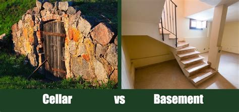 Cellar vs. Basement: Pros, Cons, & Difference (With Comparison Chart ...