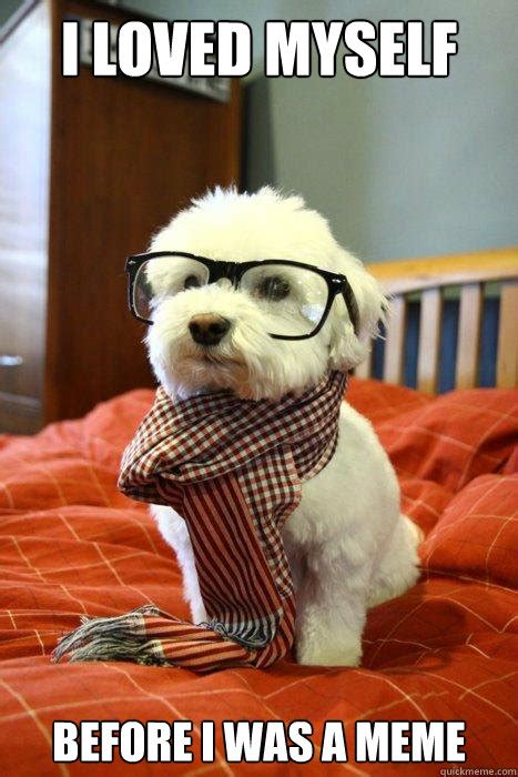 I loved myself before i was a meme - Hipster Dog - quickmeme