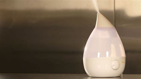 Humidifier Buying Guide (Interactive Video) | Consumer Reports - YouTube