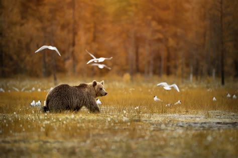 A wildlife Experience in Greece | itinari