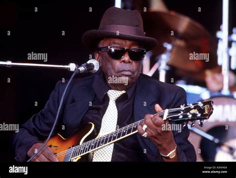 JOHN LEE HOOKER US Blues guitarist Stock Photo: 6187459 - Alamy