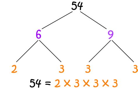 Factor Tree - Math Definitions - Letter F