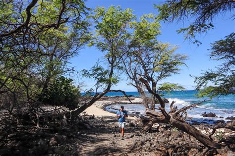 11 Best Hikes in Maui and Leisurely Coastal Walking Trails