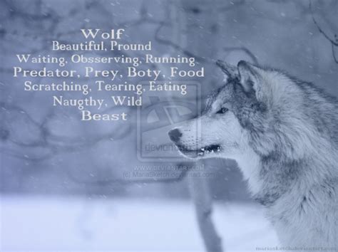 Wolf Love Poems Diamante poem: Wolf Poem, Wolf Quotes, Poetry For Kids, Wolf Spirit, Love Poems ...