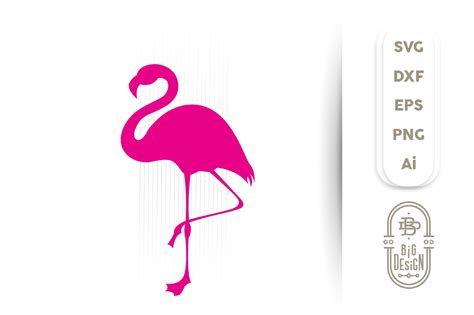 Flamingo SVG , Pink Flamingo Silhouette SVG (523514) | SVGs | Design Bundles