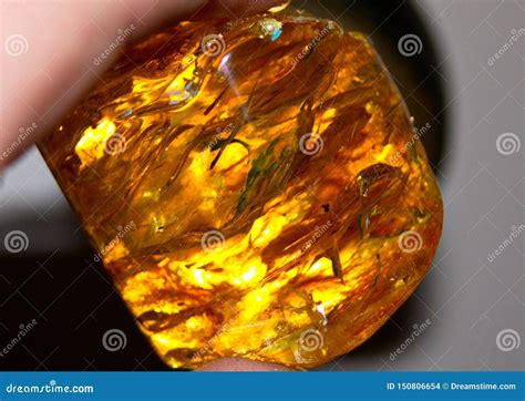 Polished Amber from the Baltic Sea Stock Photo - Image of polished ...