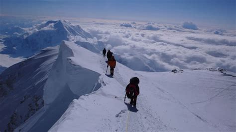 Denali Summit | American Alpine Institute