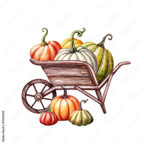 Fall Harvest Clipart - Set of 27 Vector, PNG, and JPG Files - Hand ...