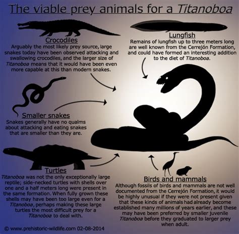 Titanoboa Size Comparison