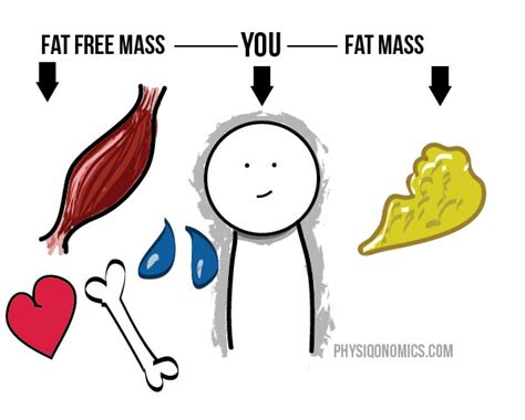 Scale Fluctuations Are Annoying. Here’s What’s Going On | IronMag Labs ...