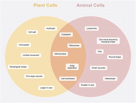 What Is A Venn Diagram And How To Make One Mindmanage - vrogue.co