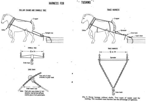 Pin by Elaina Cross on Tack Ideas | Horses, Horse wagon, Horse and buggy