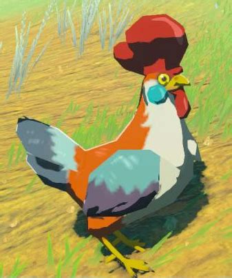 Cucco - Zelda Wiki