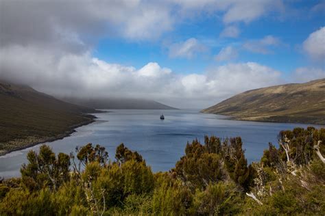 Visiting the Nearly Unknown: New Zealand’s Campbell Island