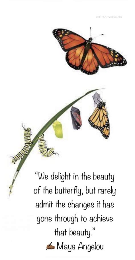 Maya Angelou Quotes About Beauty