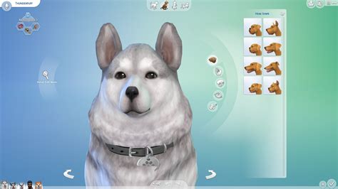 Create a Pet - The Sims 4 Guide - IGN