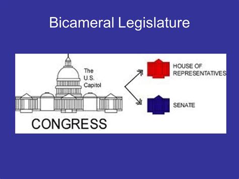 U.S. Bicameral Legislature - The Gambia Times