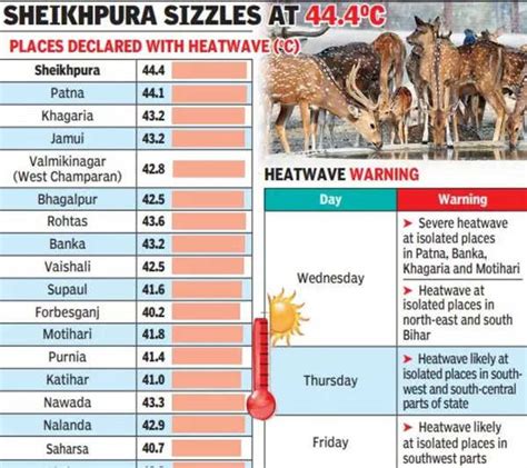 Maximum temperature crosses 44 degree Celsius-mark in Patna | Patna ...