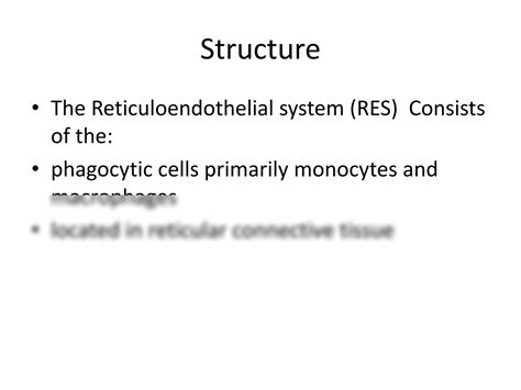 SOLUTION: Introduction to reticuloendothelial system and histology od ...