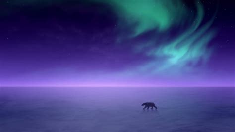 Download Polar Bear And Aurora Borealis Unique Hd Wallpaper ...