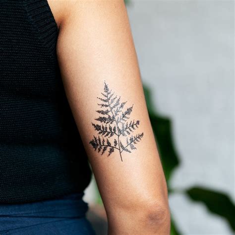 Fern by Tea Leigh from Tattly Temporary Tattoos Shape Tattoo, Neck ...