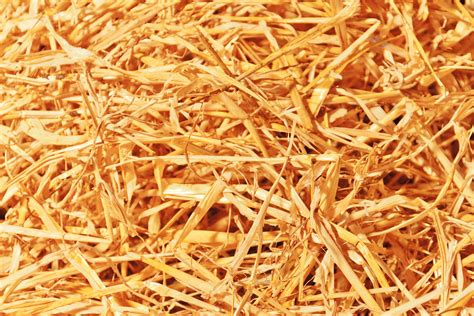 Straw Texture Free Stock Photo - Public Domain Pictures
