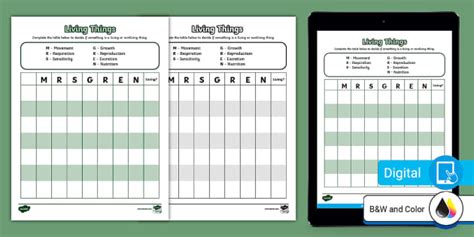 Mrs Gren Worksheet | Life Sciences | Twinkl USA - Twinkl