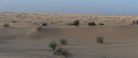 Dubai Desert Safari | Ankur Panchbudhe | Flickr