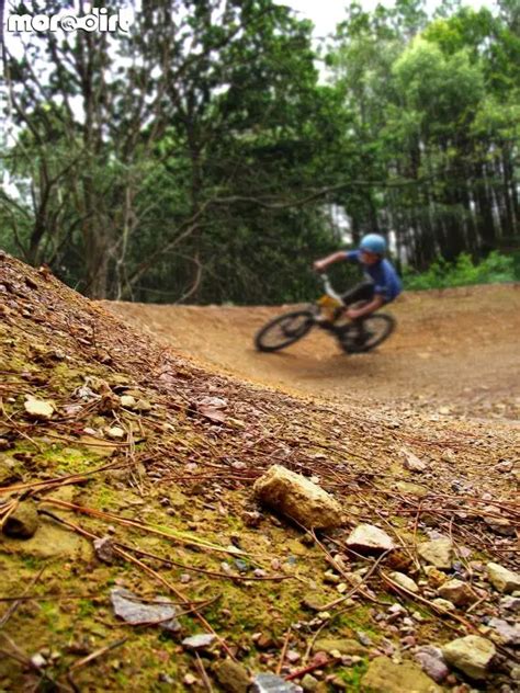 Downhill Trails - Forest of Dean | Photo 66390