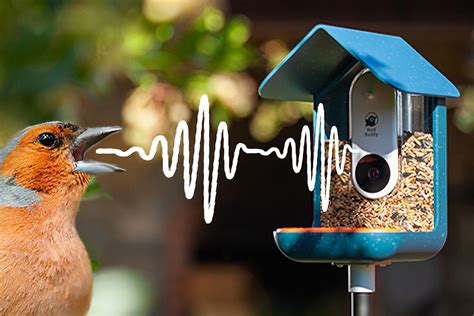 This “Nest Security Camera” for birds lets you bird-watch right from inside your house! - Yanko ...