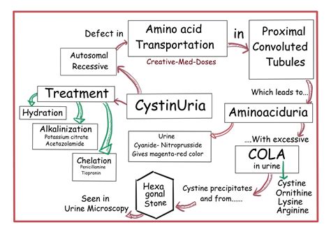 Cystinuria - Creative Med Doses