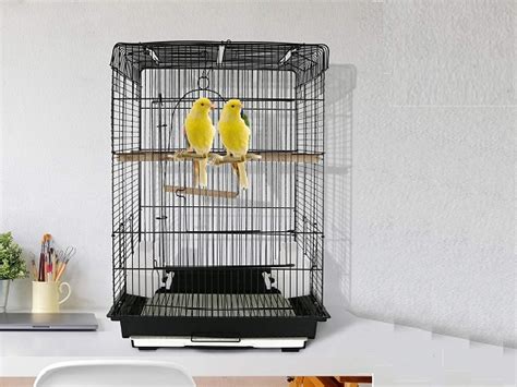 Best 8 Canary Cages In 2022 - Petovly