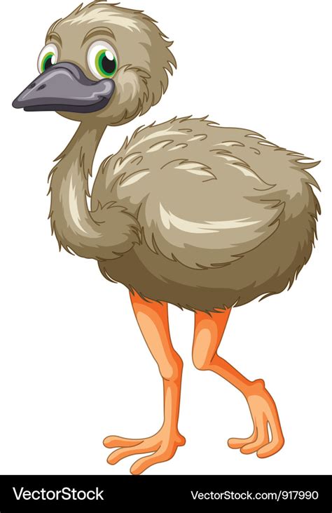 Emu cartoon Royalty Free Vector Image - VectorStock