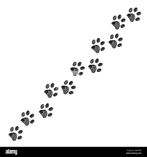 Doodle black paw print. Trace with dog, cat paw prints Stock Vector Image & Art - Alamy