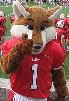 Marist Red Foxes mascot, Shooter the Fox. | Red fox, Mascot, Team mascots