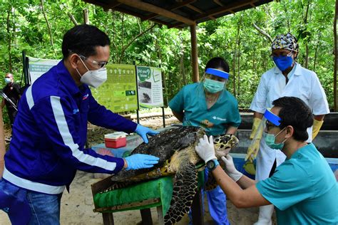 An Education In Biodiversity Conservation At Aboitiz Cleanergy Park