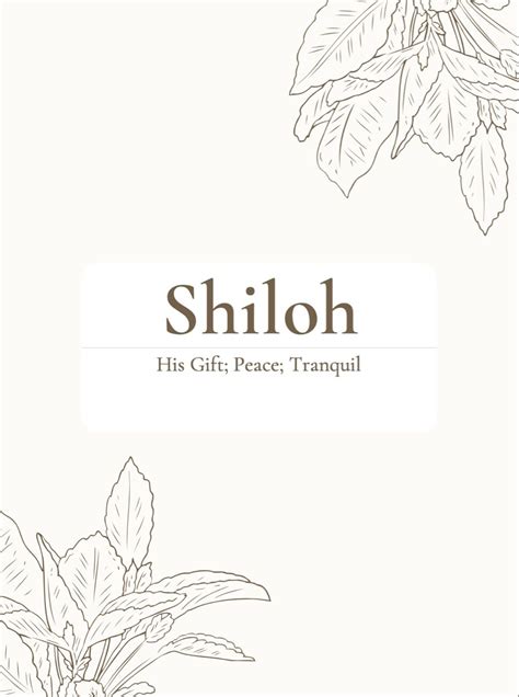 Shiloh | Baby names and meanings, Sweet baby names, Bible baby names