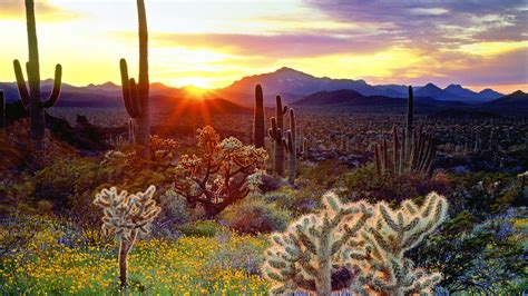 Arizona Desert Scenes Wallpaper - WallpaperSafari