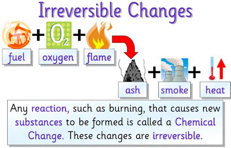 Anatomy and physiology study guide: Reversible and Irreversible Changes